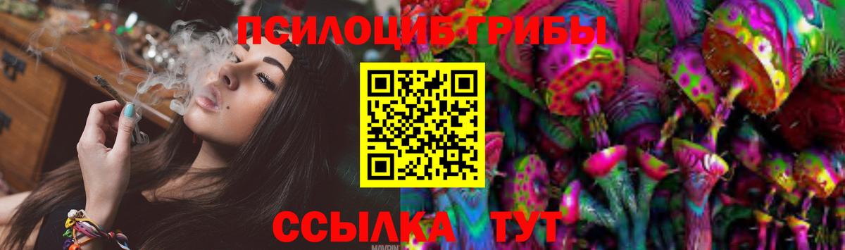 Галлюциногенные грибы Cubensis Жигулёвск